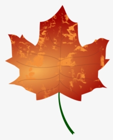 Transparent Leaf Clip Art - Autumn Leaves Vector Png, Png Download, Free Download