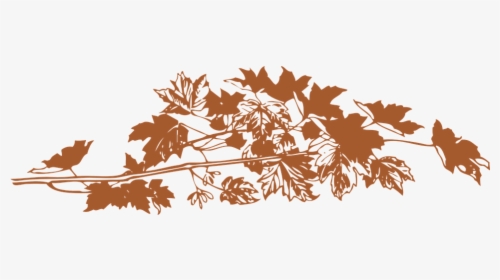 Foliage, Autumn, Fall, Leaves, Brown - Transparent Fall Leaves Branch, HD Png Download, Free Download