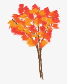 Autumn,plant,leaf - Fall Tree Drawing Colored, HD Png Download, Free Download