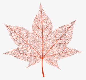 Transparent Red Autumn Leaf Png Clip Art Image - Transparent Autumn Leaves, Png Download, Free Download