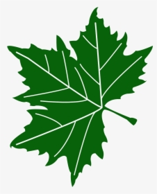 American Sycamore Leaf, HD Png Download, Free Download