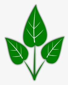 Leaf Free Leaves Clipart Free Clipart Graphics Images - Don T Water The Plants, HD Png Download, Free Download