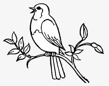 Bird Birds Clipart Black And White Free Best Transparent - Singing Bird Clip Art, HD Png Download, Free Download