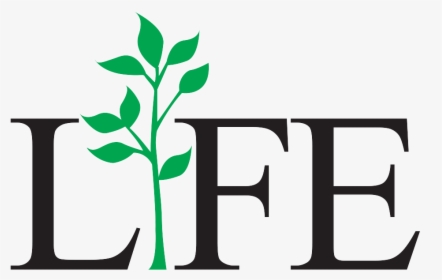 Life Png Photo - Financial Times, Transparent Png, Free Download