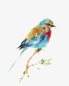 Bird Watercolor Printmaking Drawing Painting Birds - Best Watercolor Paintings Of Bird, HD Png Download, Free Download