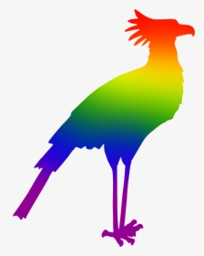 Bird Clipart Rainbow - Colourful Bird Silhouette Clipart, HD Png Download, Free Download