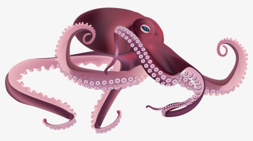 Transparent Background Octopus Clipart, HD Png Download, Free Download