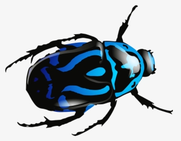 Blue Beetle Png Image - Blue Bug No Background, Transparent Png, Free Download