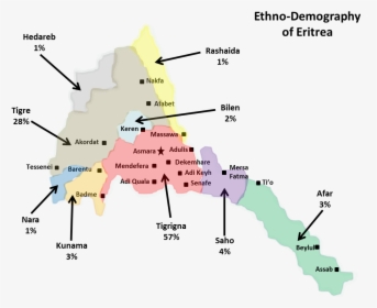 Ethno-demography Of Eritrea - Ethno Demography Of Eritrea, HD Png Download, Free Download