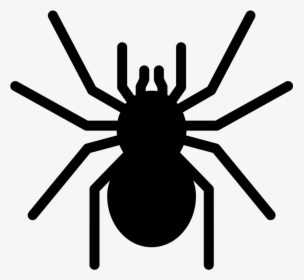 Noun Tarantula 1975343 000000 - Tarantula Icon, HD Png Download, Free Download