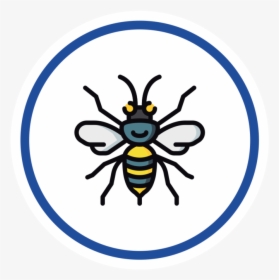 Safeschoolsipm Pestcontrol Icon - Bumblebee, HD Png Download, Free Download