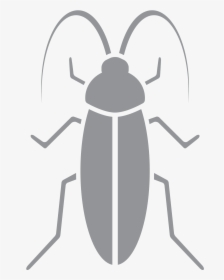 Transparent Pest Png - Weevil, Png Download, Free Download