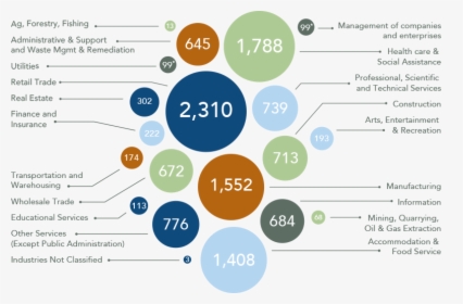 Employee Demographics, HD Png Download, Free Download