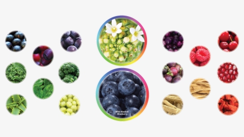 Ingredientes Sunrise Kyani, HD Png Download, Free Download