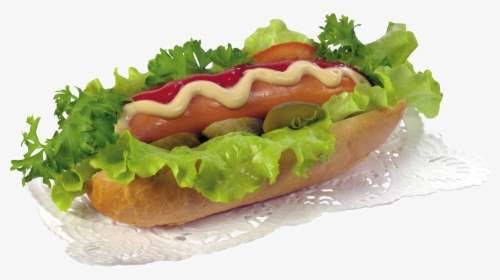 Hot Dog Png Image - Hot Dog Png, Transparent Png, Free Download