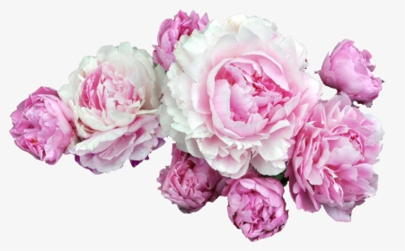 Pink Flowers Desktop Wallpaper Clip Art - Steve Buscemi Flower Crown, HD Png Download, Free Download