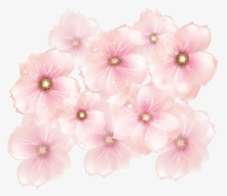 Clip Art Pink Flowers Transparent Background - Pink Flower Transparent Background, HD Png Download, Free Download