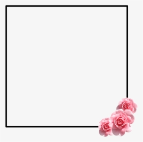 #frame #tumblr #flower #flowerframe #pink #girly #rose - Garden Roses, HD Png Download, Free Download