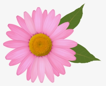 Pink Daisy Png Clipart Image - Daisy Flower Picture Clipart, Transparent Png, Free Download
