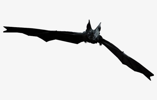 The Wiki Of The Dead - Vampire Bat, HD Png Download, Free Download
