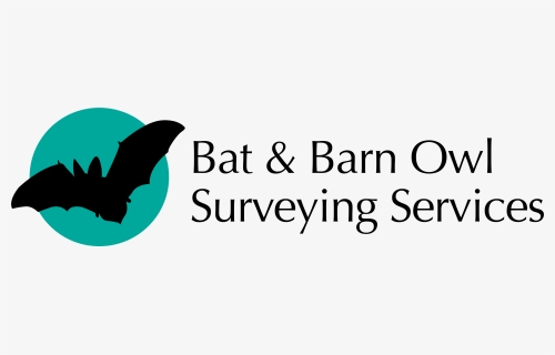 Bat And Barn Owl Surveying Services Logo - Service Now, HD Png Download, Free Download