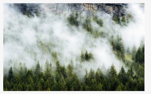 #trees #fog #clouds #rock #background #overlay, HD Png Download, Free Download