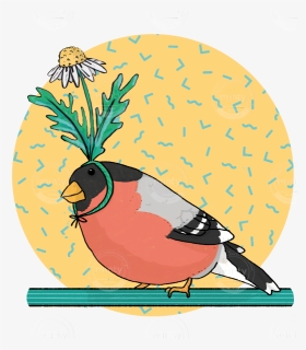 Bird Of A Feather Funny Cute Illustration Of A Robi - Illustration, HD Png Download, Free Download