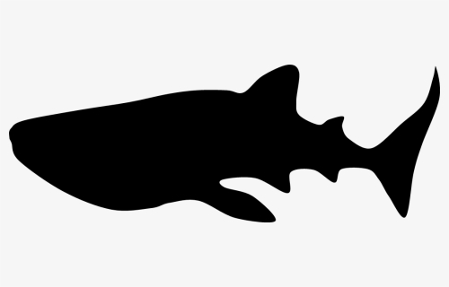 Silhouette Whale Shark Clip Art - Whale Shark Silhouette Transparent Background, HD Png Download, Free Download