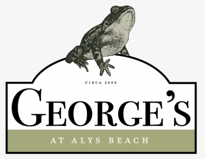 Georges - Illustration, HD Png Download, Free Download