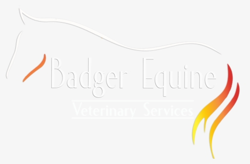 Badger Equine Logo White Topline And Text - Calligraphy, HD Png Download, Free Download