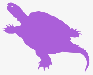 Transparent Clipart Iguana - Common Snapping Turtle, HD Png Download, Free Download