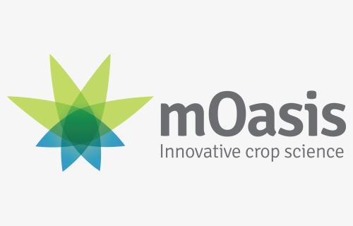 Moasis Inc, HD Png Download, Free Download