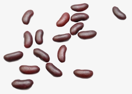 Background Beans Kidney Transparent - Kidney Bean, HD Png Download, Free Download