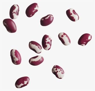 Kidney Beans Png - Anasazi Beans, Transparent Png, Free Download
