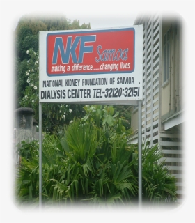 National Kidney Foundation Samoa, HD Png Download, Free Download