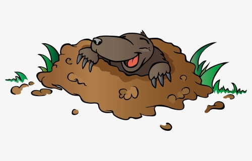 Cartoon, HD Png Download, Free Download