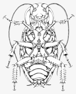 Roach - Line Art, HD Png Download, Free Download