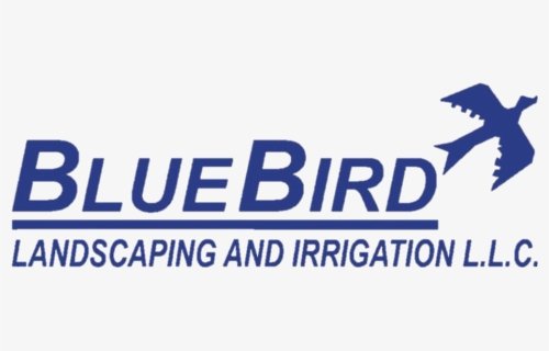 Blue Bird Landscaping And Irrigation, Dubai - Graphics, HD Png Download, Free Download