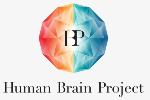 Human Brain Project - Hbp Human Brain Project, HD Png Download, Free Download