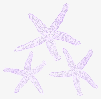 Turquoise Starfish Clip Art At Clker - Fish Clip Art, HD Png Download, Free Download