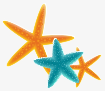 Star Fish Clipart Transparent Background, HD Png Download, Free Download