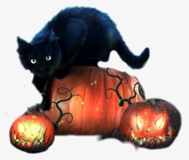 #halloween #cat #mur - Halloween Psychic Reading, HD Png Download, Free Download