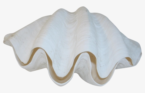 Giant Clam, HD Png Download, Free Download