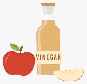 Apple Cider Vinegar - Vinegar Clipart, HD Png Download, Free Download
