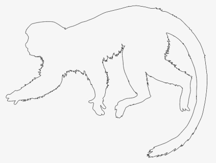 Squirrel Monkey Outline, HD Png Download, Free Download