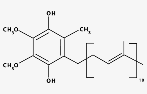Ubiquinol Molecule - Coenzyme Q, HD Png Download, Free Download