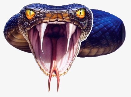 Reptile Tongue Png, Transparent Png, Free Download