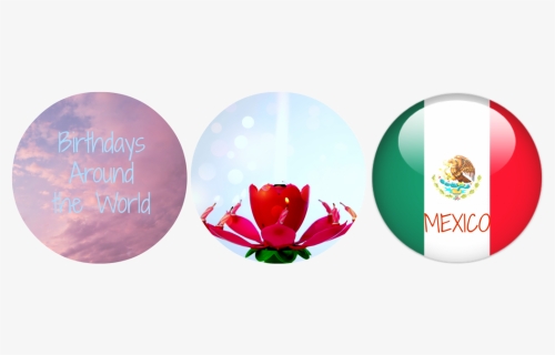 Circle, HD Png Download, Free Download