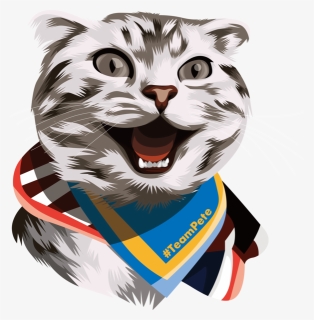 Excited Happy Cat Meme Lis Smith Pete Buttigieg Peteswag - Pete Buttigieg, HD Png Download, Free Download