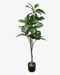 Tropical Tree - Artificial Plant - Piante Finte Da Esterno, HD Png Download, Free Download